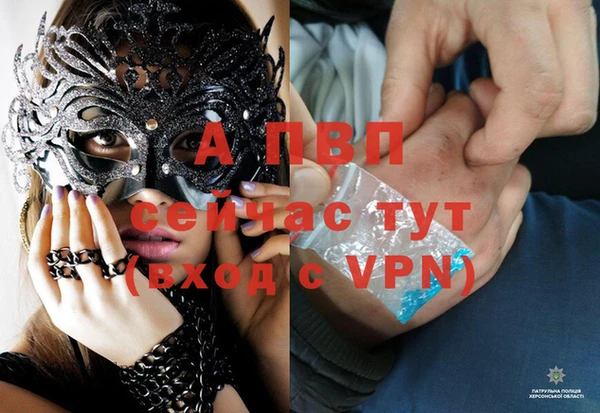 спиды Бронницы