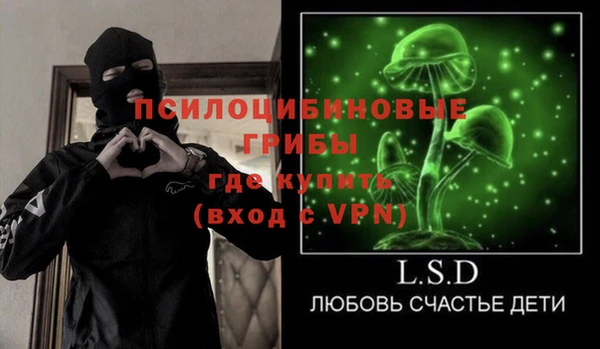 Альфа ПВП Бородино