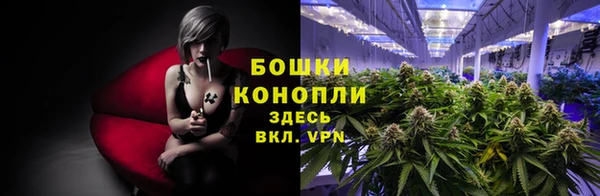 Альфа ПВП Бородино