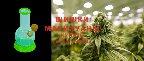 Альфа ПВП Бородино