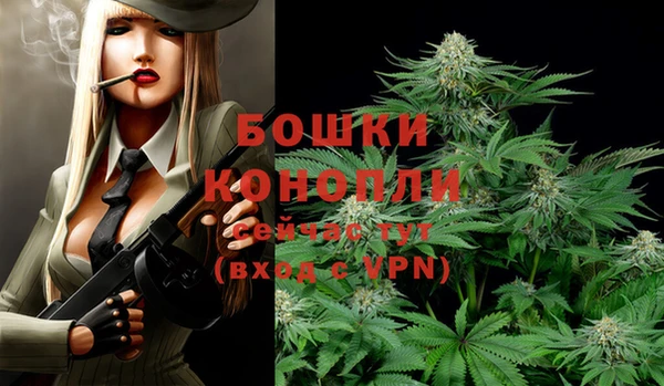 спиды Бронницы