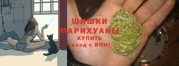 спиды Бронницы