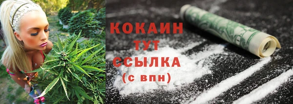 спиды Бронницы