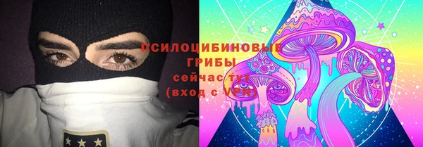 Альфа ПВП Бородино